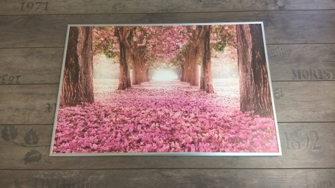 Pink forest