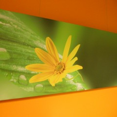 Canvas 1200x500mm